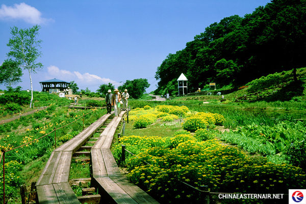 Những điểm du lịch Niigata bốn mùa